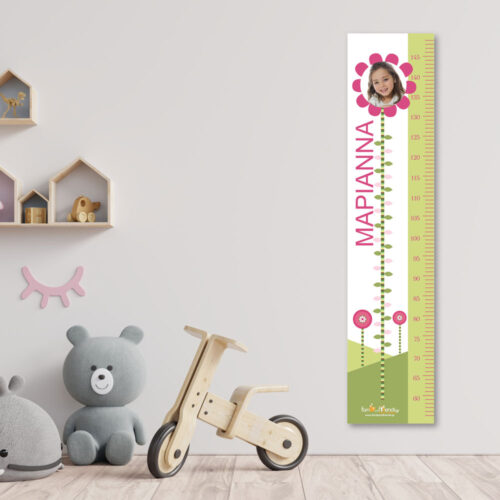 Υψομετρητής με Λουλούδι, Φωτογραφία & Όνομα