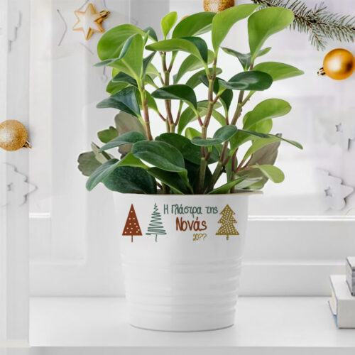 Γιορτινό Δώρο Γλάστρα με Μήνυμα, Όνομα