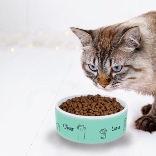 Μπολ φαγητού για γάτες Προσωποποιημένο με Όνομα