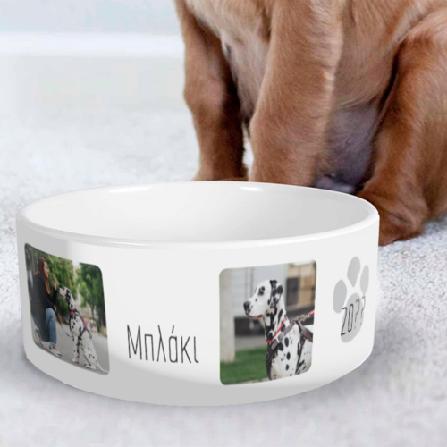 Με 2 Φωτογραφίες Μπολ φαγητού για Σκύλο & Όνομα