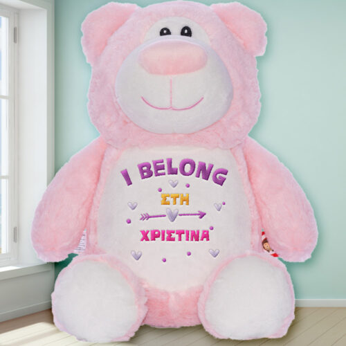 Αρκούδος Cubbies, με Κέντημα Μήνυμα, Όνομα