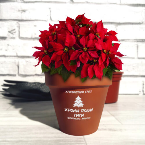 Δώρο Χριστουγεννιάτικη γλάστρα με εικαστικό δεντράκι