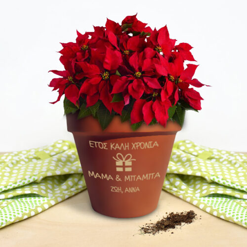 Διακοσμητική Γλάστρα Δώρο για τις Γιορτές
