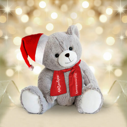 Δώρο για Χριστούγεννα Αρκούδος 25cm καθιστός, με Προσωποποιημένο Κασκόλ