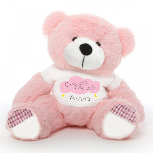 Προσωποποιημένα Όνειρα Γλυκά, σε Δώρο Αρκούδο 45 cm ή 25cm με Όνομα
