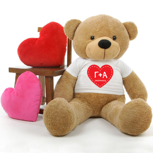 Αρκουδάκι 45cm ή 25cm καθιστό με Προσωποποιημένο tshirt με αρχικά