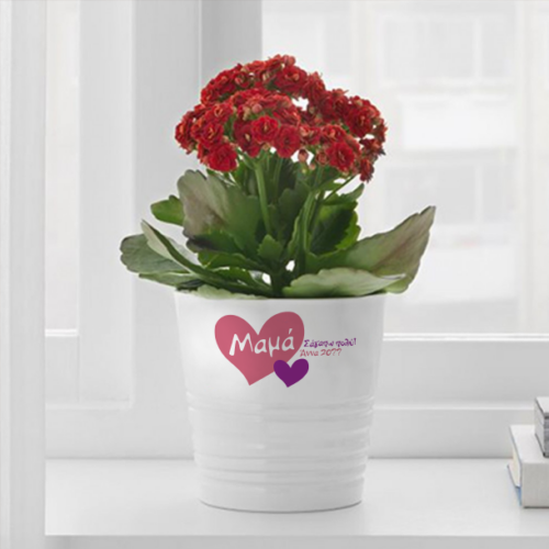 Με Καρδιές Κεραμική Λευκή Γλάστρα με Ονόματα