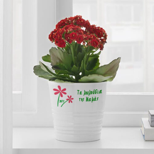 Κεραμική Λευκή Γλάστρα με Ονόματα, λουλούδια