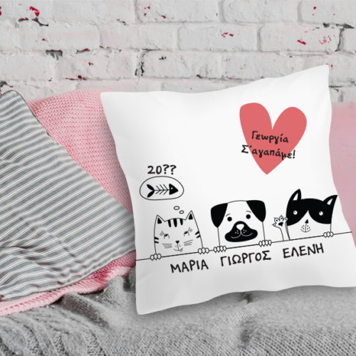 Μαξιλάρι με ζωάκια, Ονόματα, Μήνυμα