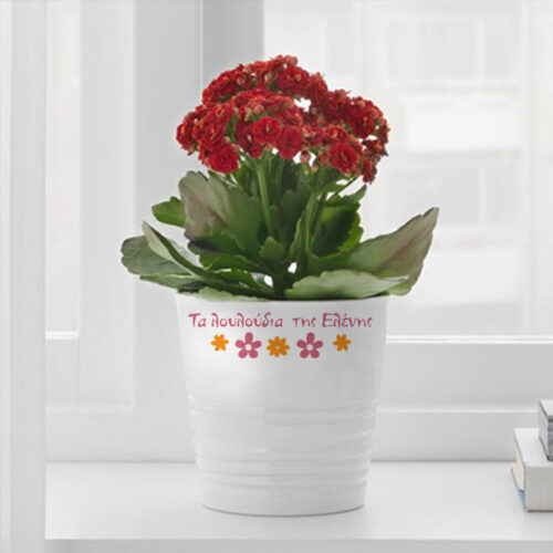 Λευκή Γλάστρα με Ονόματα, γραμμικά λουλούδια