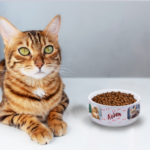 Μπολ για γάτα φαγητού, με 2 Φωτογραφίες, Όνομα