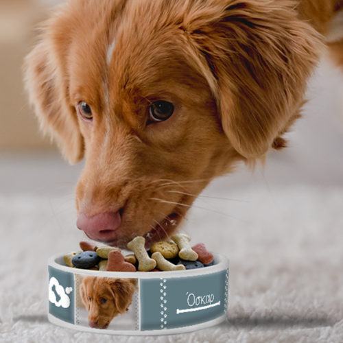 Μπολ Φαγητού για Σκύλο με Όνομα, Φωτογραφία