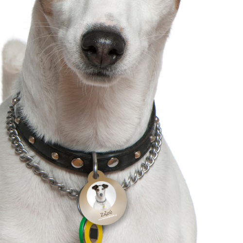 Με Όνομα, φωτογραφία ταυτότητα σκύλου