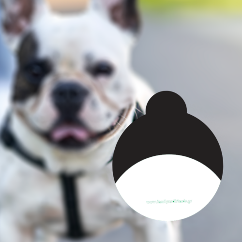 Ταυτότητα σκύλου Προσωποποιημένη με Όνομα, φωτογραφία