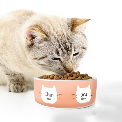 Μπολ Φαγητού Κεραμικό για Γάτα με Όνομα